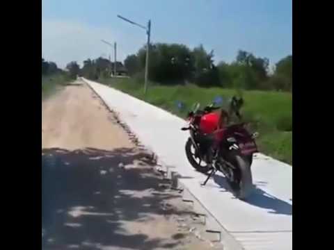 شاهد قرد ذكي يحاول سرقة دراجة نارية جديدة