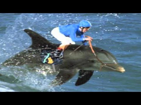 شاهد أشهر 10 رياضات غير قانونية موجودة بالفعل