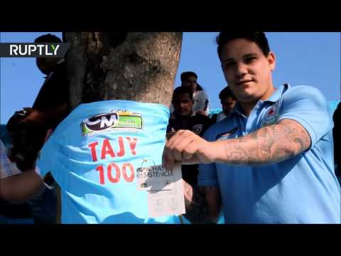 شاهد شجرة مميّزة تصبح مشجعًا كرويًا في باراغواي