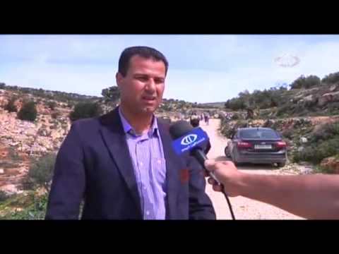 جرافات الاحتلال تقتلع نحو 300 شجرة زيتون من قرية سالم