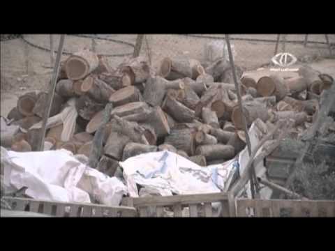 مدارس بلدة اللقية تغلق أبوابها احتجاجا على عنصرية معلمة يهودية