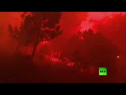 لحظات صادمة لشراسة حرائق الغابات في البرتغال
