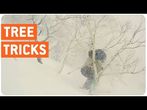 شاهد بالفيديو أحد المتزلجين يصطدم بشجرة