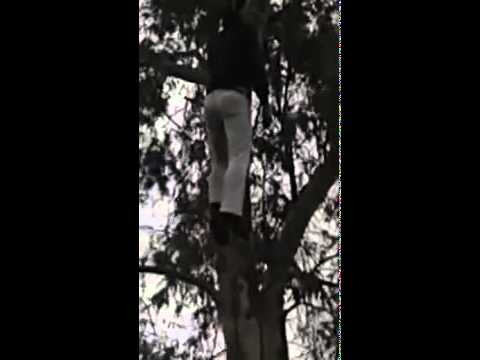 شاب ينتحر بشنق نفسه أعلى شجرة بالدقهلية