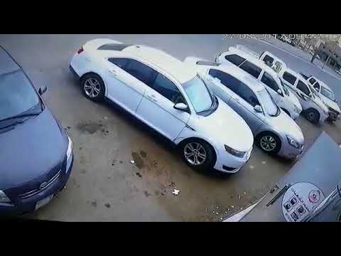 لحظة سرقة خروف من صندوق سيارة متوقفة في السعودية