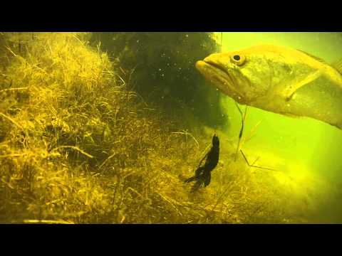 رجل يعتدي بالضرب المبرح على ابن زوجته المعاق