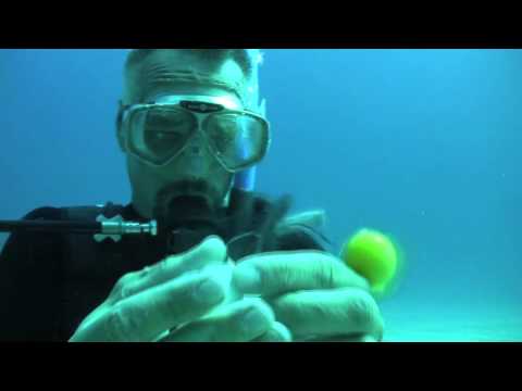 شاهد ماذا يحدث للبيض تحت سطح البحر