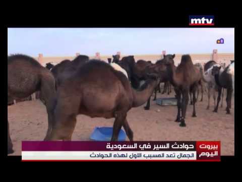 دراسة تؤكد أن الطرق السعودية الأخطر في العالم شاهد