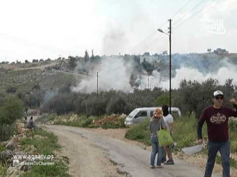 تنظيم مسيرة بلعين للمطالبة بحقوق الاسرى بسجون الاحتلال