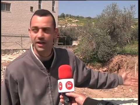 مزارعوا الابقار يشكوا تجاهل الحكومة لرفع الأذى عن المواطنين بنبلس