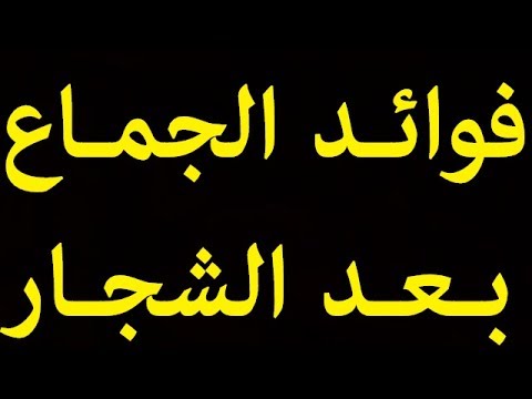 شاهد العلاقة الحميمية بعد الشجار متعة لن تصدقها