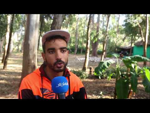 هل تمارس الرياضة صباحًا قبل بدء العمل