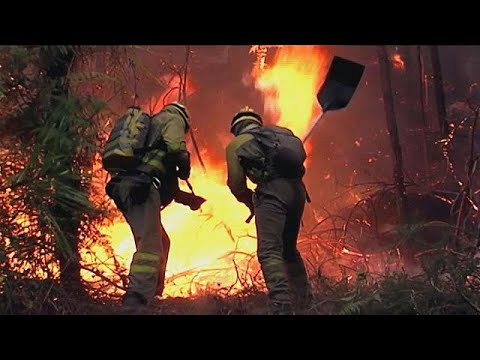 مقتل ثلاثة أشخاص إثر حرائق في البرتغال وشمال إسبانيا