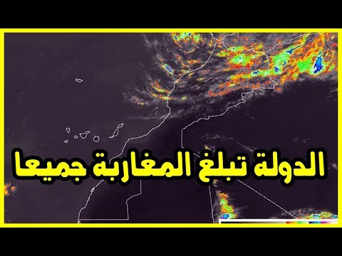 شاهد هبوب عواصف رعدية بدءًا من الأربعاء