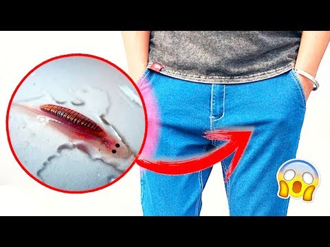 بالفيديو 99 حقيقة مذهلة عن الجسم البشري