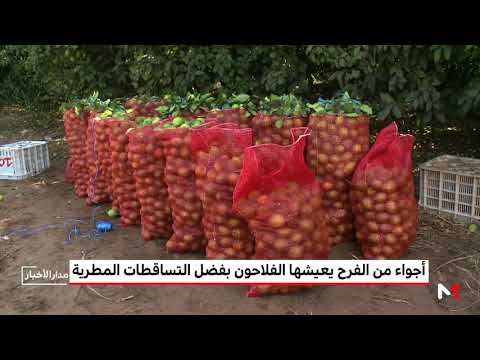 شاهد أجواء من الفرح يعيشها الفلاحون