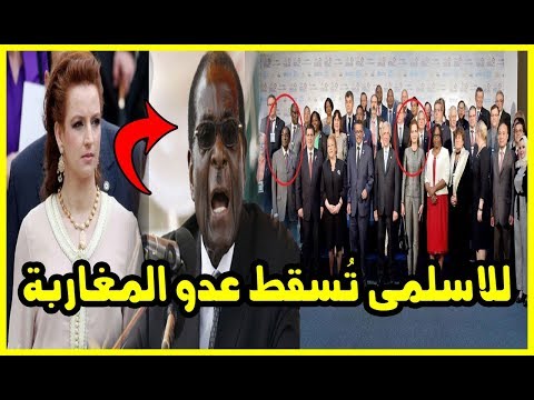 شاهد الصحة العالمية تُقرر سحب تعيين رئيس زيمبابوي كسفير للنوايا الحسنة