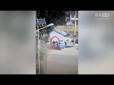 كلب يعض قائد دراجة بخارية مرت بجواره