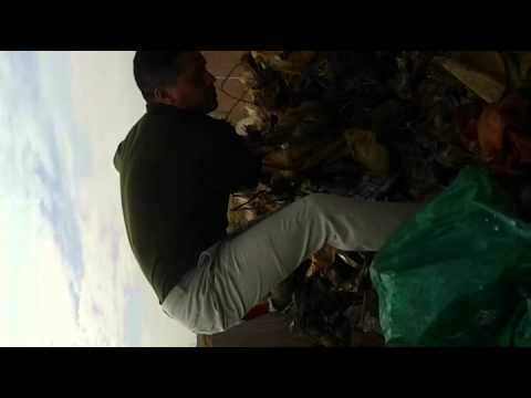 تكدس نفايات سيدي يحيى‎