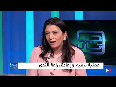 شاهد تطورعملية ترميم وزراعة الثدي