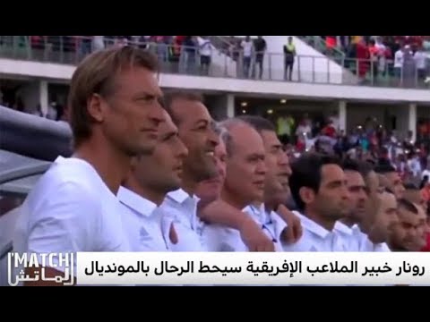 بالفيديو  هيرفي رونار خبير الملاعب الأفريقية يبلغ المونديال
