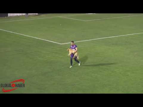 شاهد كلب يقتحم مباراة في الأرجنتين ويعرقل أحد اللاعبين