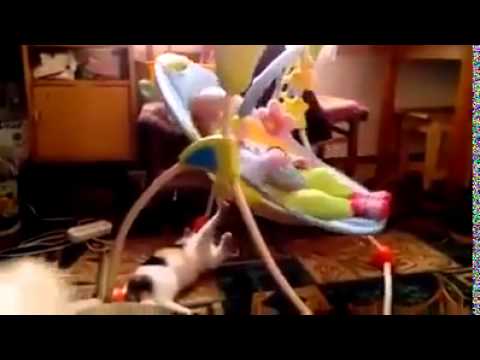 شاهد كلب يُسعد صديقه الطفل