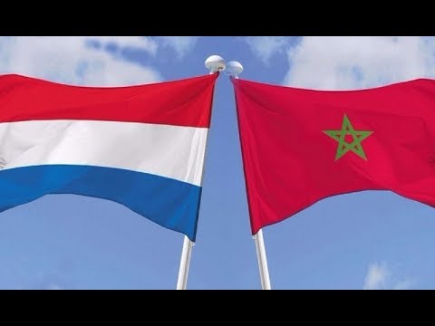 شاهد هولندا تنتقم من مغاربة بشكل غير مقبول