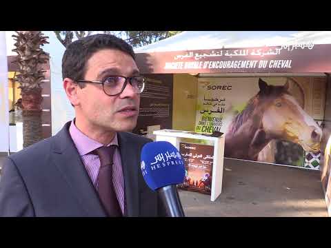 بالفيديو مشاهد من الملتقى الدولي للخيول في الدار البيضاء