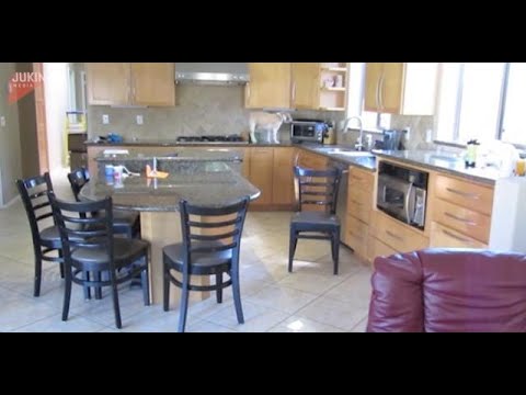 فيديو طريف لكلب يسرق الدجاج من الفرن