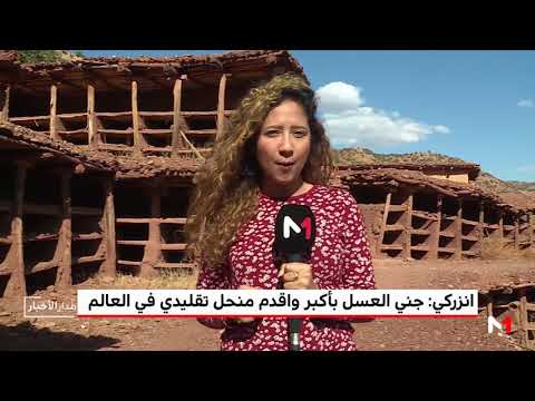 شاهد إنزركي يؤكد جني العسل بأكبر وأقدم منحل تقليدي في العالم