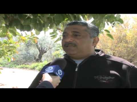 شاهداللاجئون الفلسطينيون يناشدون الحكومة اللبنانية بوقف مشروع الأوتستراد