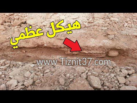شاهد العثور على هيكل عظمي أثناء الحفر في تيزنيت