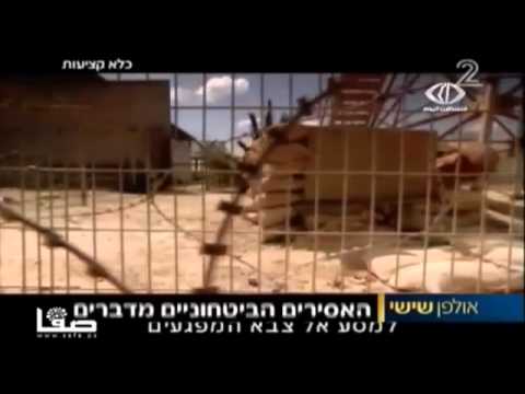 الاحتلال يصدر أحكامًا باعتقال 13 أسيرًا شاهد بالفيديو