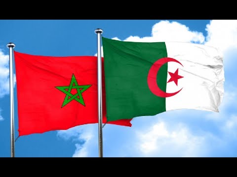 شاهد المغرب يتخذ قرارًا بشأن الجزائر