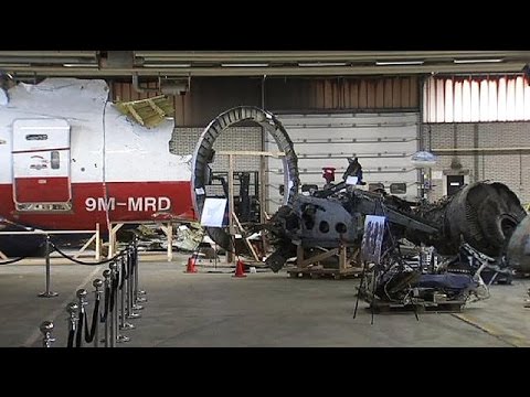 تقارير تؤكد إسقاط الطائرة الماليزية بصاروخ بوك فيديو