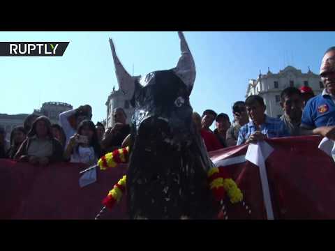شاهد البيروفيون يحتجون على تقليد مصارعة الثيران