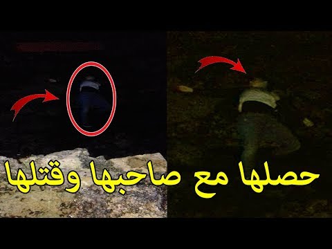 شاهد جريمة قتل مروعة تهز شاطئ سيدي بوزيد