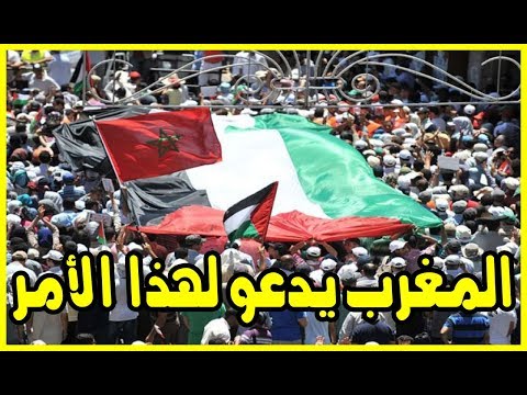 شاهد المملكة المغربية تدعو لهذا الأمر ردًا على القرار الأميركي
