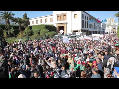 شاهد لحظة حرق علم إسرائيل في الرباط