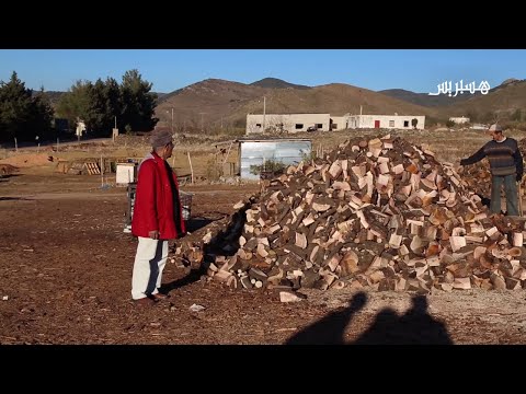 شاهد حطب التدفئة معاناة متواصلة لساكني حي أزرو