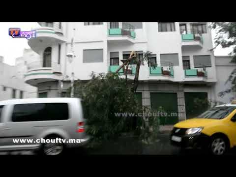 شاهد مخلفات الرياح و التساقطات المطرية