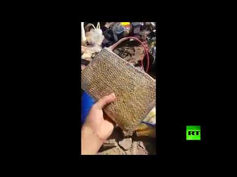 شاهد تصفية 3 عناصر من داعش في مداهمات أمنية في اليمن