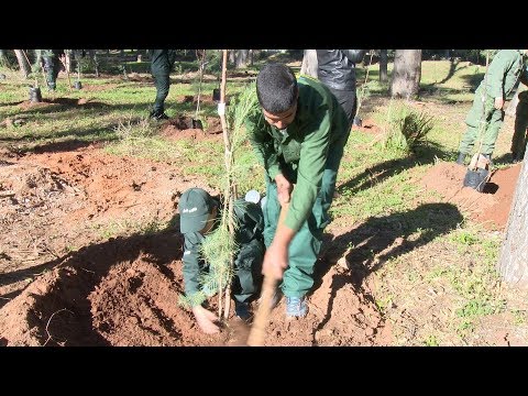 شاهد إطلاق فعاليات إعادة تشجير وتهيئة غابة ابن سينا الحضرية