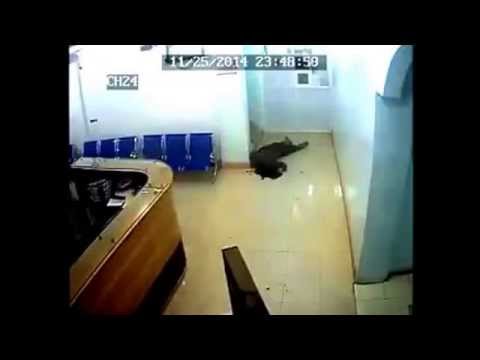 مقتل يمني بدم بارد رميًا بالرصاص