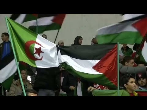 شاهد الجزائر تتضامن مع القدس وفلسطين