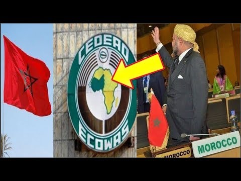 شاهد لجنة للنظر في طلب المغرب الانضمام الى المجموعة الاقتصادية لدول غرب أفريقيا