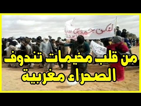 شاهد متظاهرون يرددون شعار الصحراء مغربية