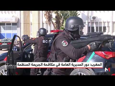 بالفيديو مجهودات المصالح الأمنية في مكافحة الجريمة المنظمة