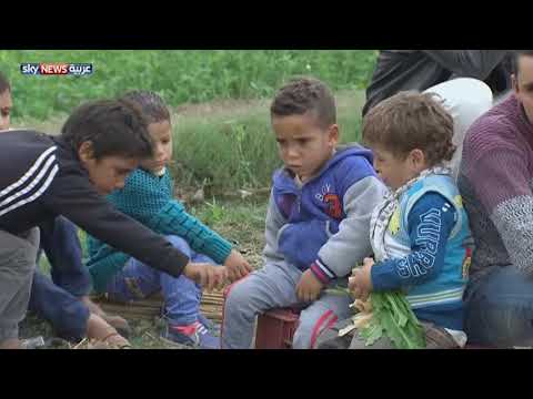 بالفيديو جزيرة فاضل تبرع بها مصري لفلسطينيين